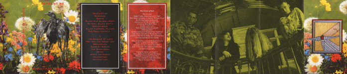 Insert Side 1 Insert Side 1