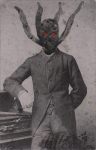 Slipcase Cover