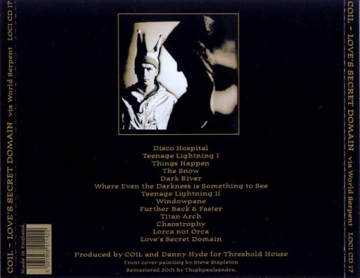 locicd17-back.jpg
