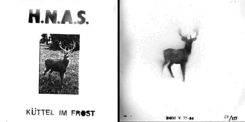 DOM V 77-04 - Front and back covers of 1st edition