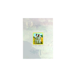 DOM V 77-11 - Artwork