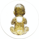 CD