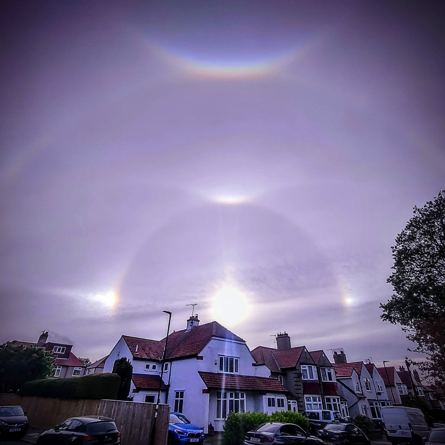Sun Dogs by Christian