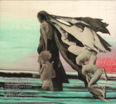 Back Cover Back Cover