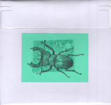 Outer Back Cover Outer Back Cover