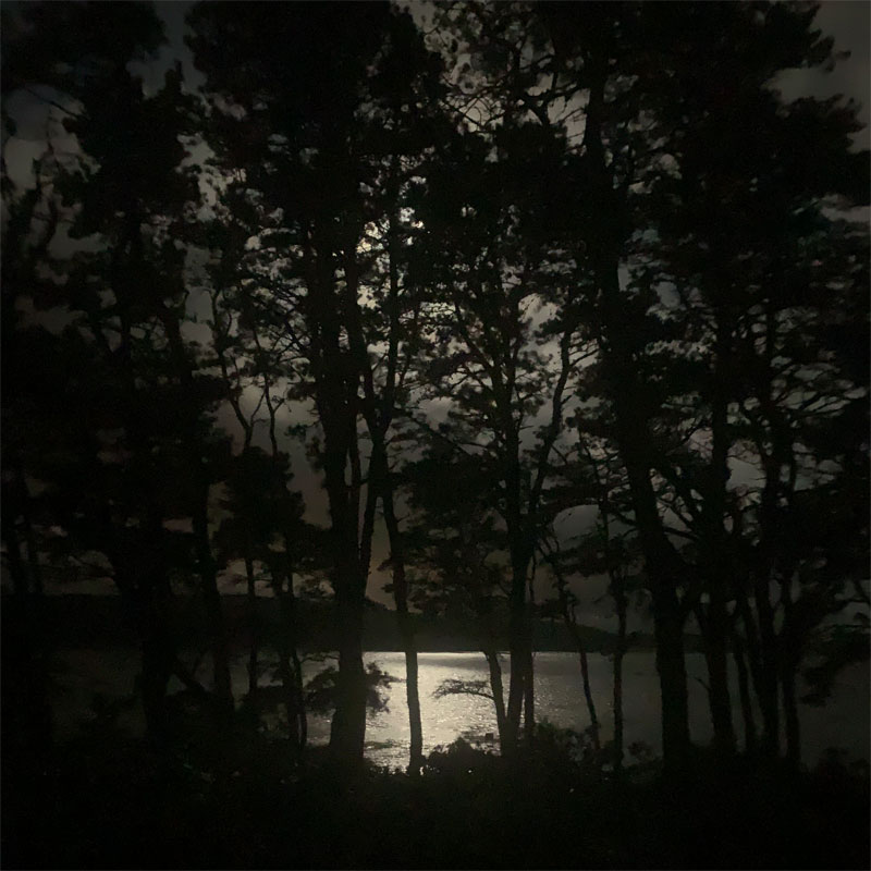 Wellfleet by Gabriel