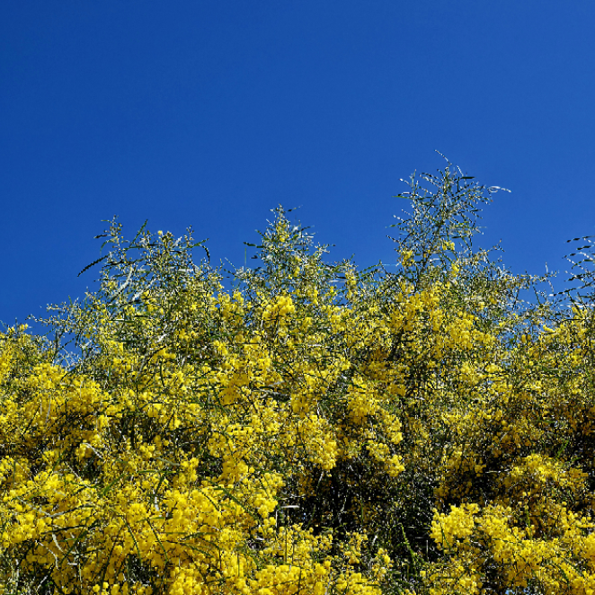 Tim - Thinking of Ukraine